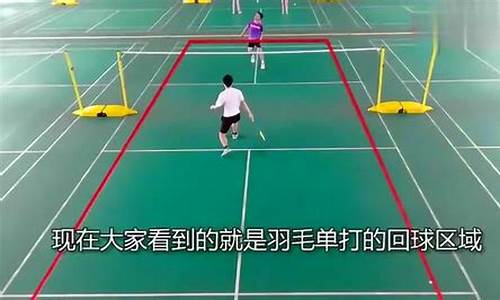 羽毛球单打比赛规则简单介绍图解_羽毛球单打比赛规则简单介绍图解视频